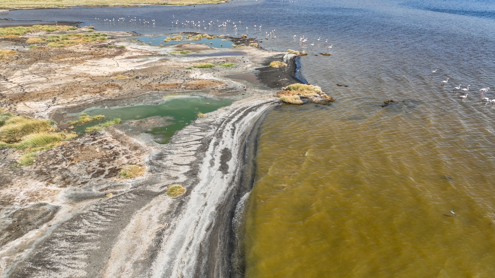 Lake Abhe (Abhe bad)